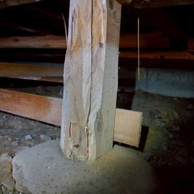 築年数40年のシロアリ駆除の施工事例（岐阜県関市武芸川町谷口）