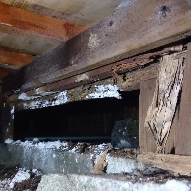 築年数40年のシロアリ駆除の施工事例（岡山県岡山市南区阿津）