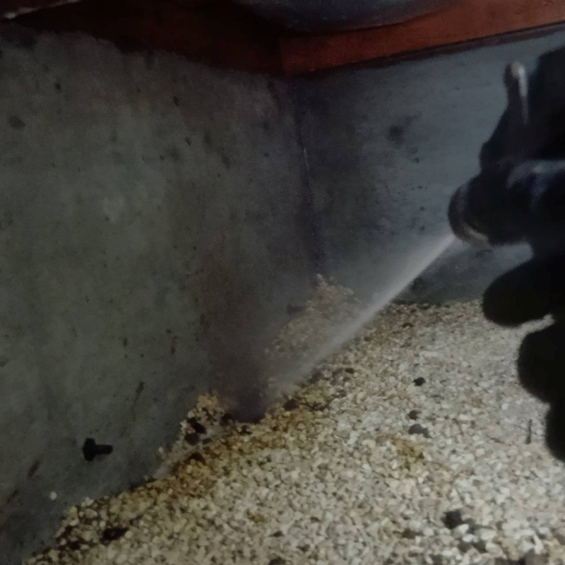 床下の基礎・地面にシロアリ駆除剤を散布