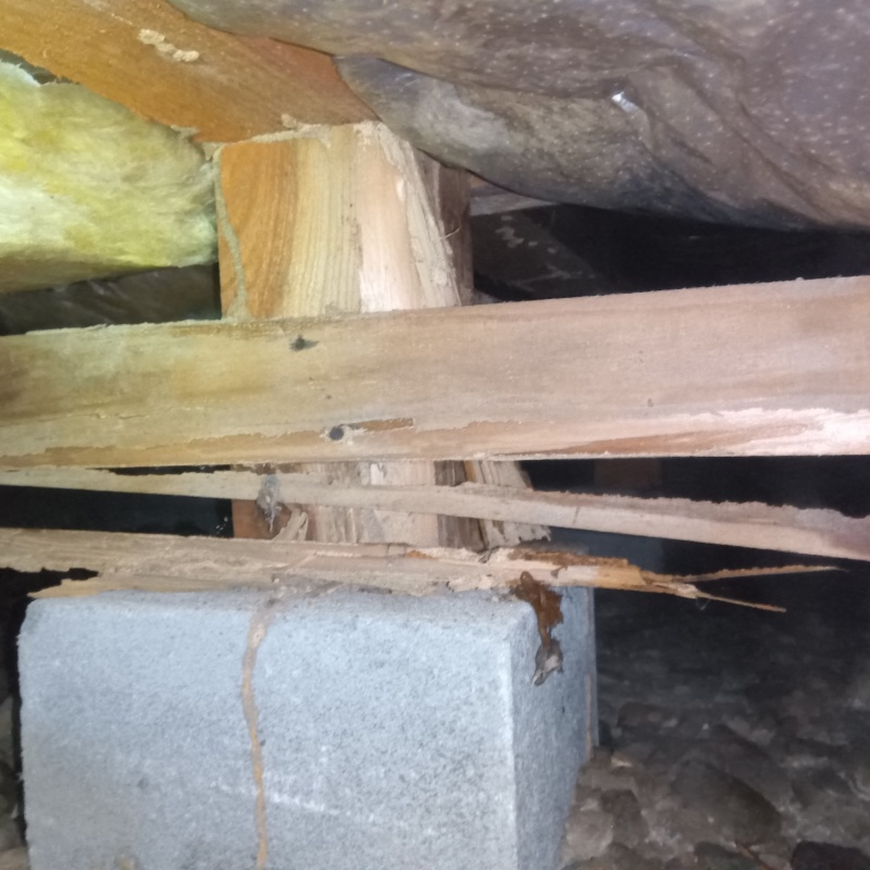 築年数40年のシロアリ駆除の施工事例（長野県長野市風間）