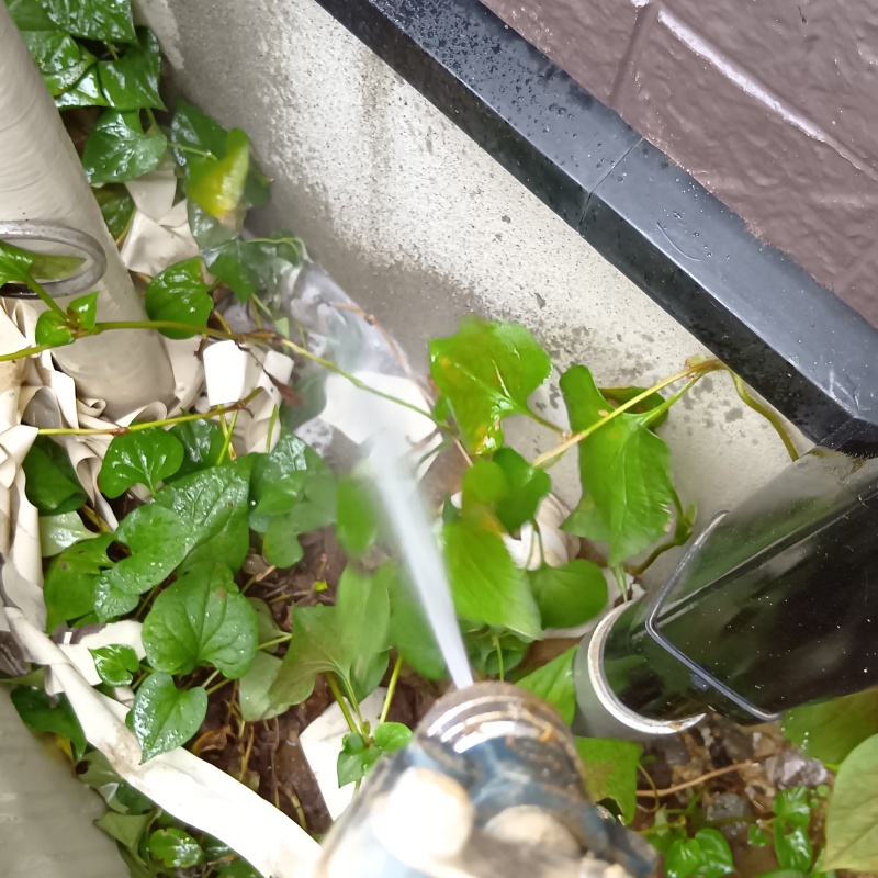 建物の外周にシロアリ駆除剤を散布