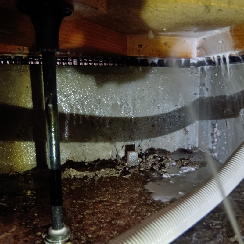 シロアリ駆除の施工事例（千葉県松戸市幸谷）