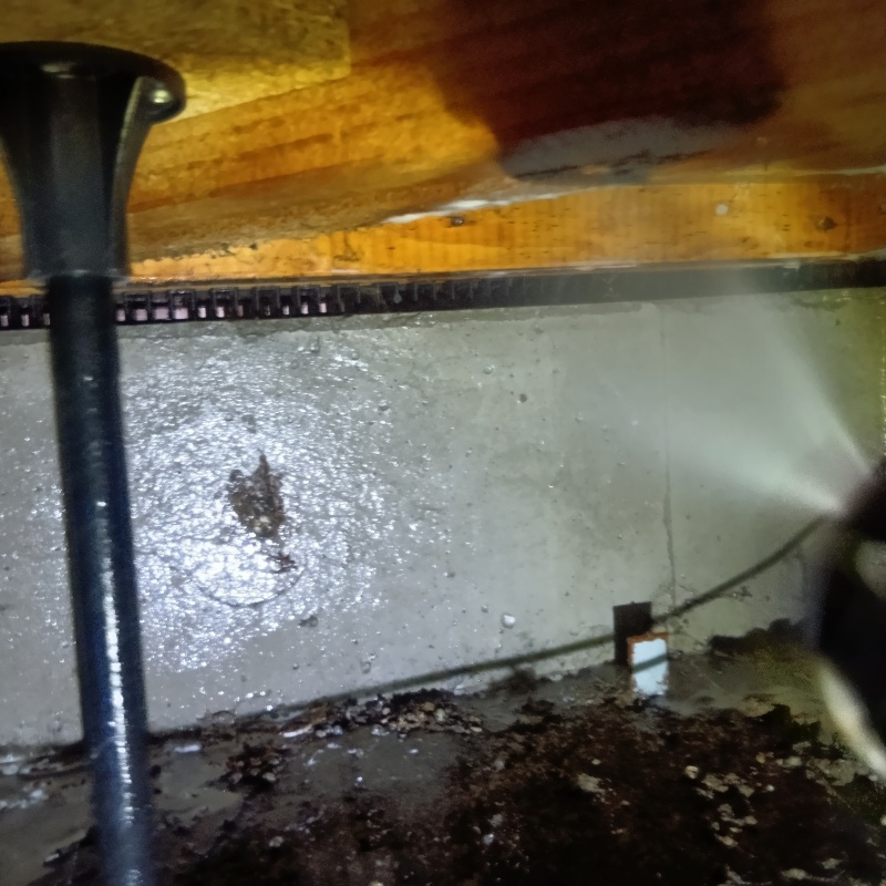 床下の木材にシロアリ駆除剤を散布