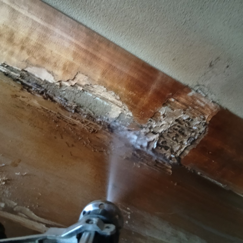 築年数30年のシロアリ駆除の施工事例（千葉県市川市関ケ島）