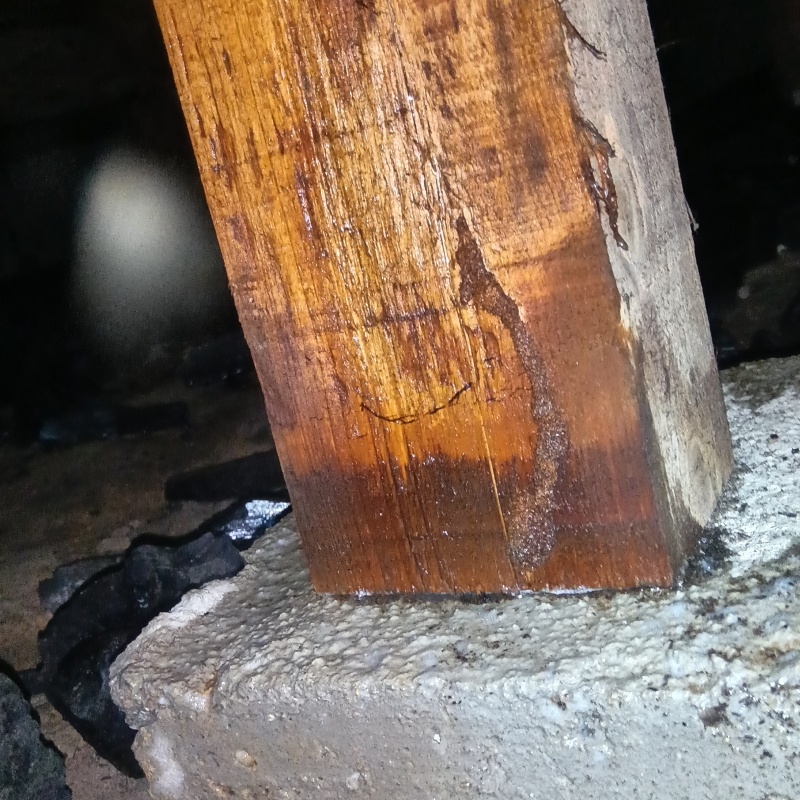 シロアリ駆除の施工事例（長崎県西海市）