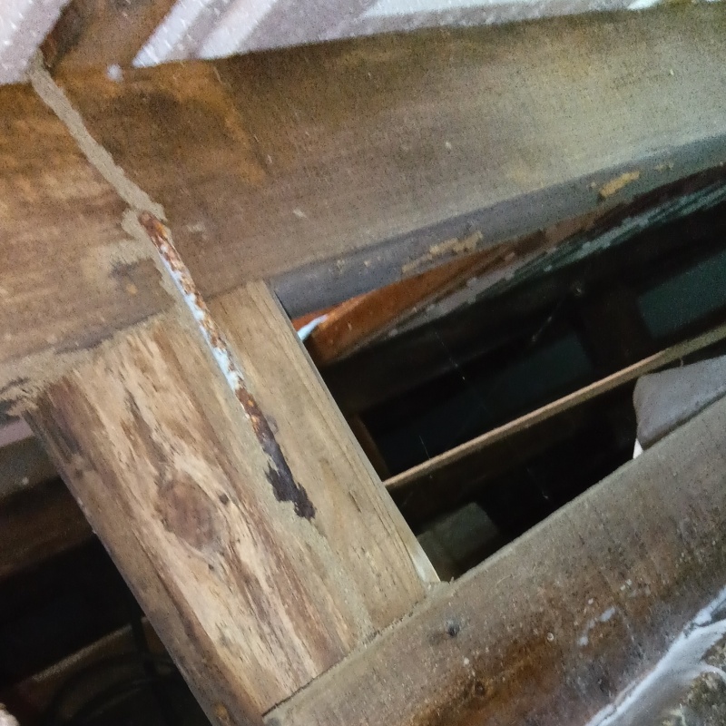 築年数44年のシロアリ駆除の施工事例（栃木県那須塩原市西三島）