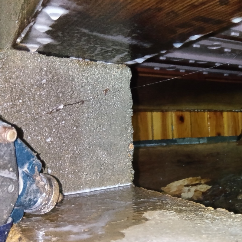 コンクリートにシロアリ駆除剤を散布