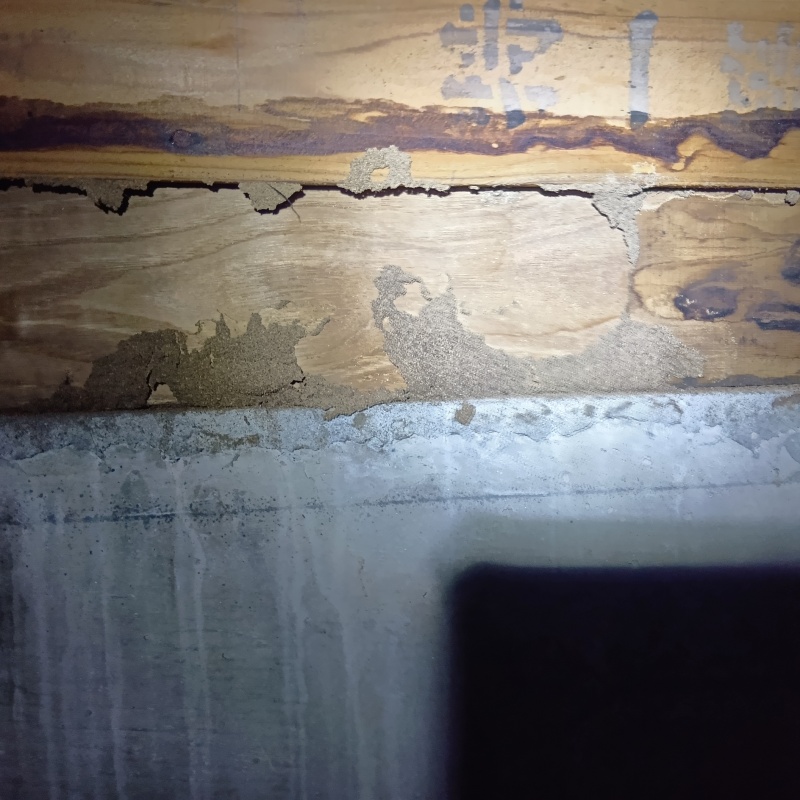 築年数45年のシロアリ駆除の施工事例（千葉県市川市八幡）