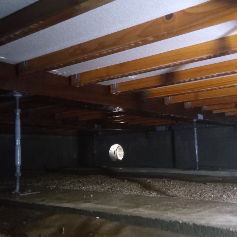 地面に防蟻剤を散布した様子