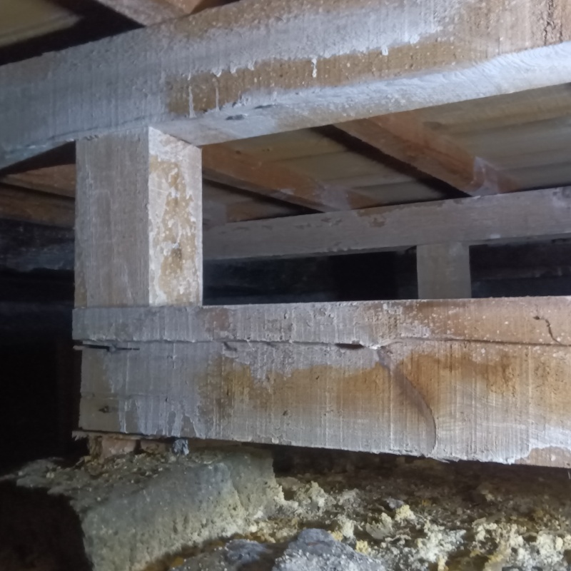 築年数50年のシロアリ駆除の施工事例（香川県高松市香川町寺井）