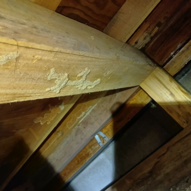 築年数38年のシロアリ駆除の施工事例（千葉県木更津市高柳）