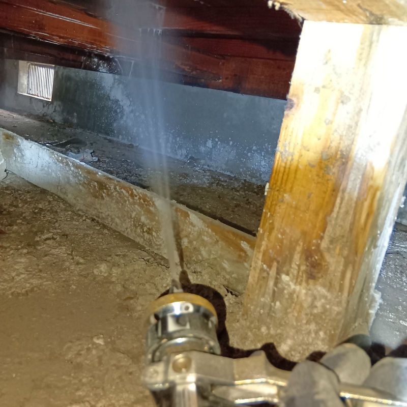 床下の木材にシロアリ駆除剤を散布