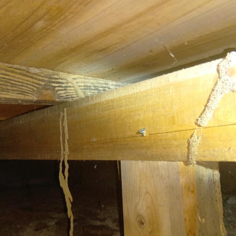 築年数50年のシロアリ駆除の施工事例（福岡県北九州市八幡西区青山）