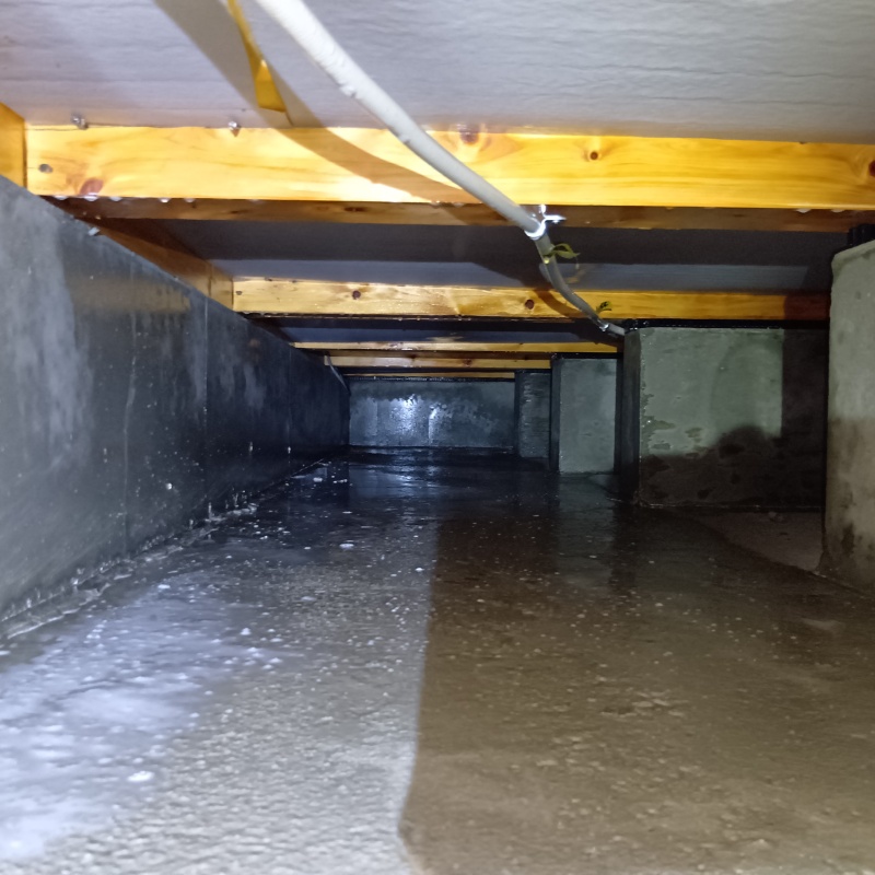 土壌処理が完了した様子