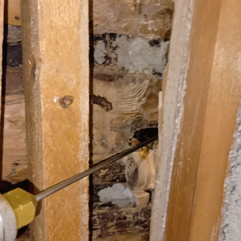 築年数50年のシロアリ駆除の施工事例（大阪府枚方市枚方上之町）