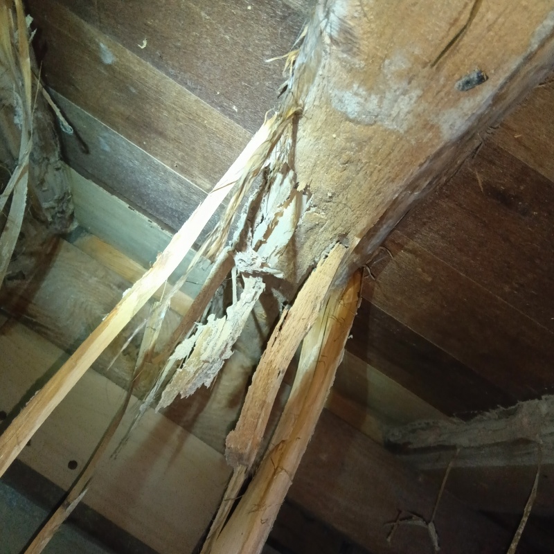 築年数50年のシロアリ駆除の施工事例（岐阜県羽島市竹鼻町丸の内）