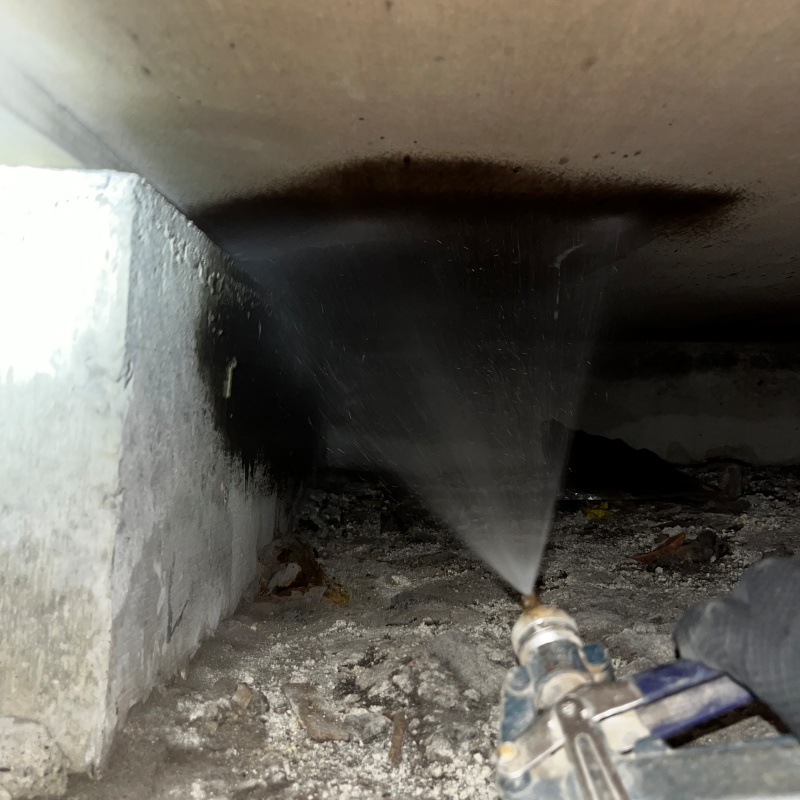 シロアリ駆除の施工事例（埼玉県川口市）