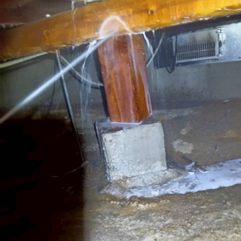 床下木材に防蟻剤を吹きつける様子