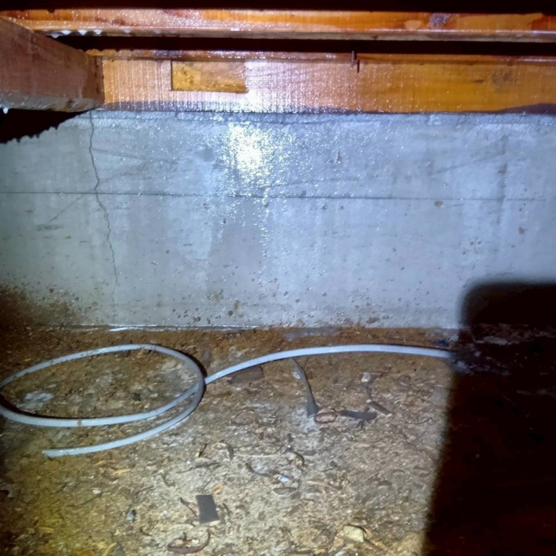 床下木材に防蟻剤を散布した様子