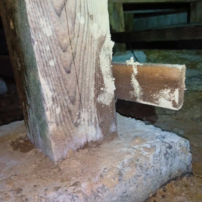 築年数40年のシロアリ駆除の施工事例（石川県白山市千代野東）