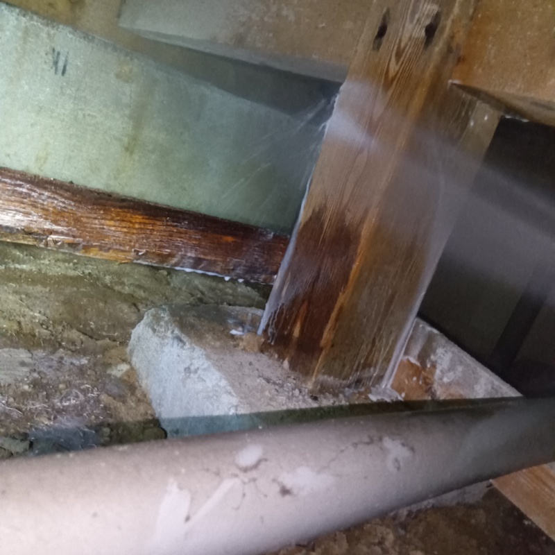 床下木材にシロアリ駆除剤を散布