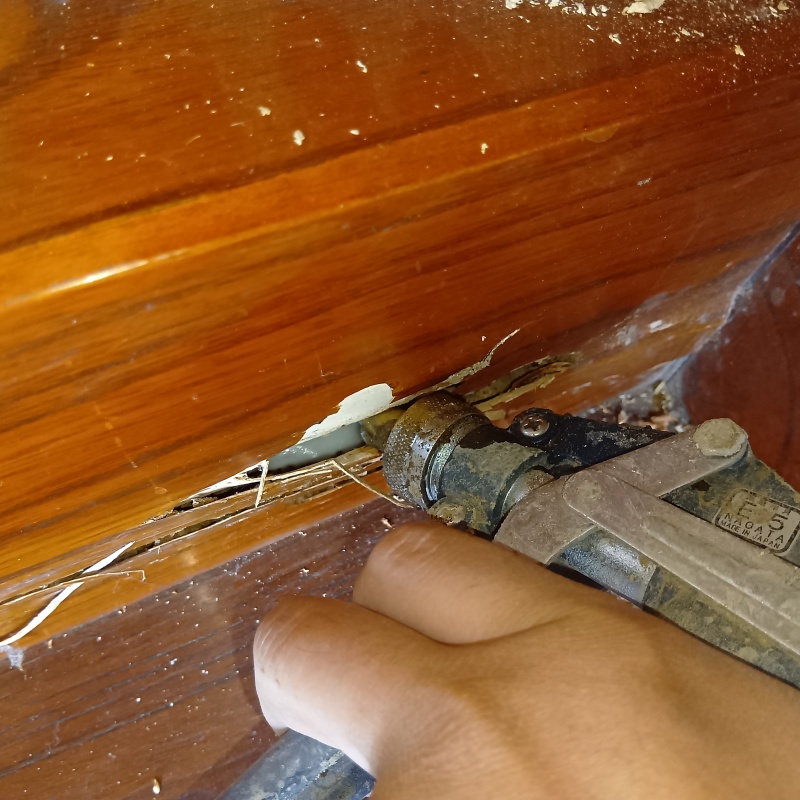 傷んだ木材の亀裂からシロアリ駆除剤を注入