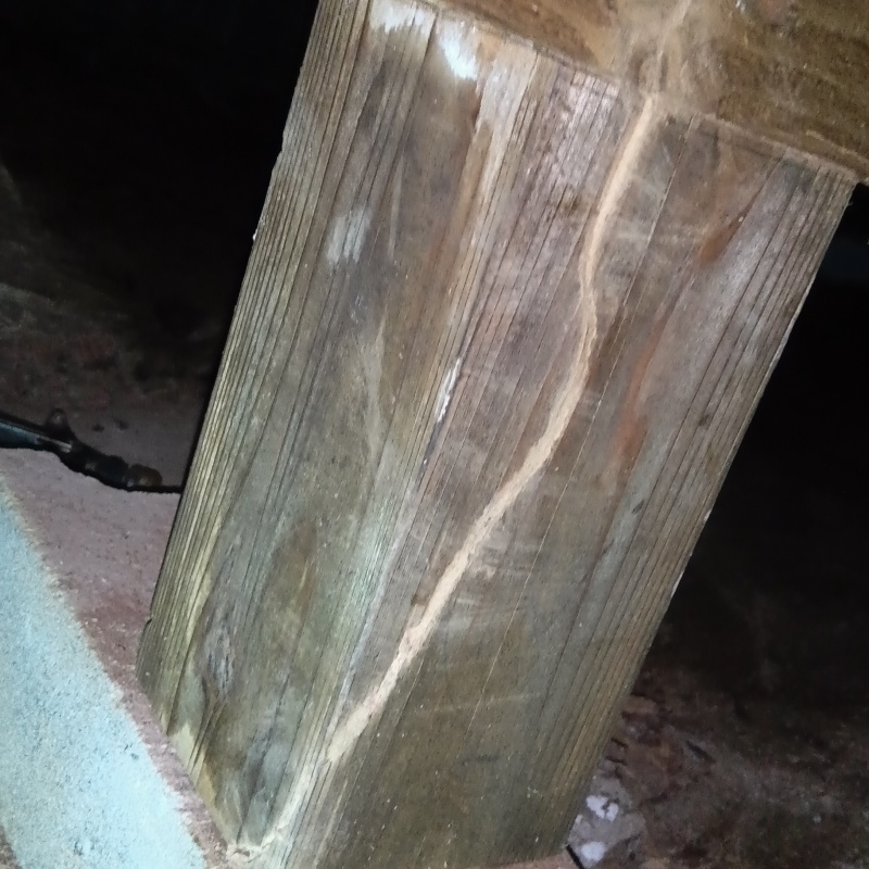 築年数50年のシロアリ駆除の施工事例（佐賀県伊万里市山代町立岩）