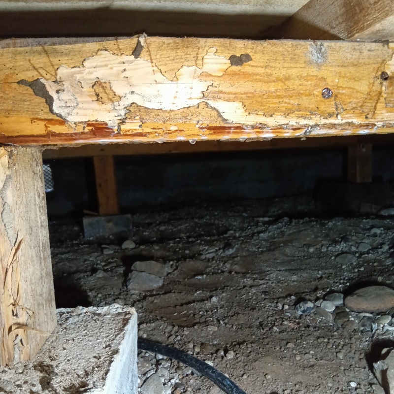 築年数30年のシロアリ予防の施工事例（三重県南牟婁郡御浜町阿田和）