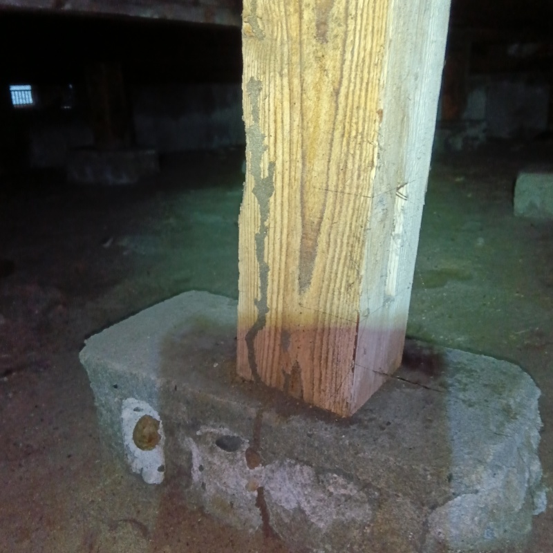 築年数50年のシロアリ駆除の施工事例（富山県富山市八町）