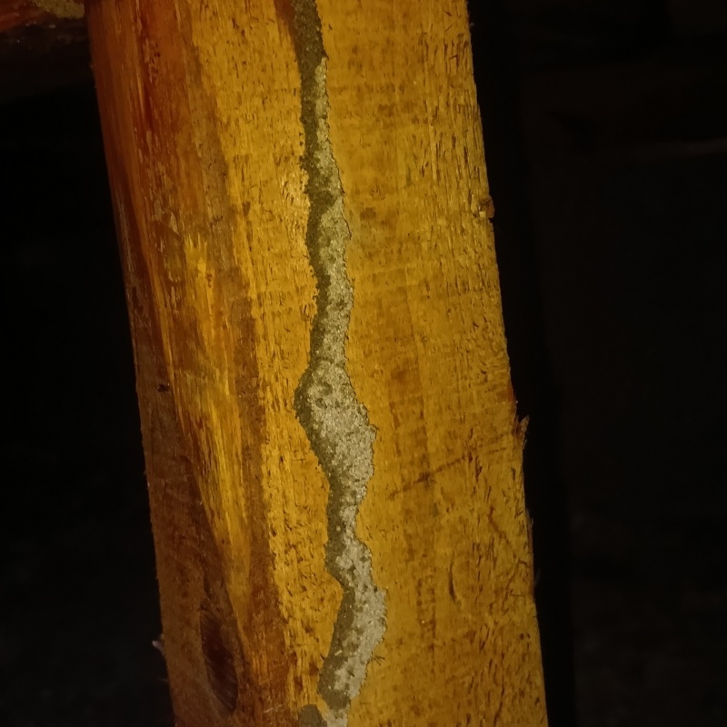 築年数40-50年のシロアリ駆除の施工事例（大阪府東大阪市柏田東町）