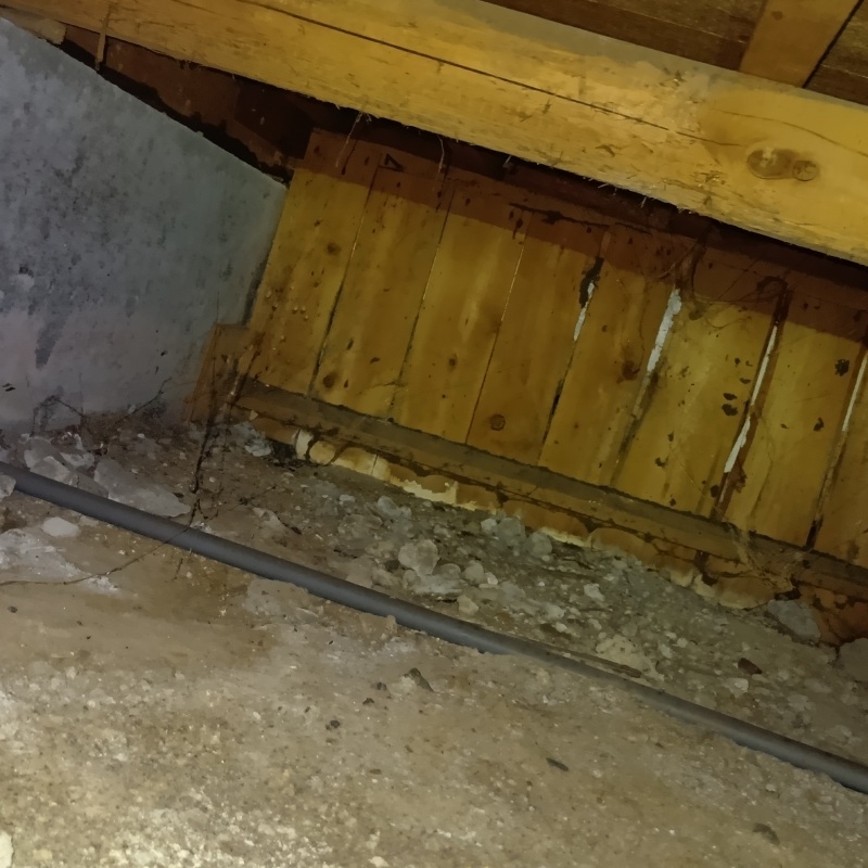 土壌処理が完了した様子