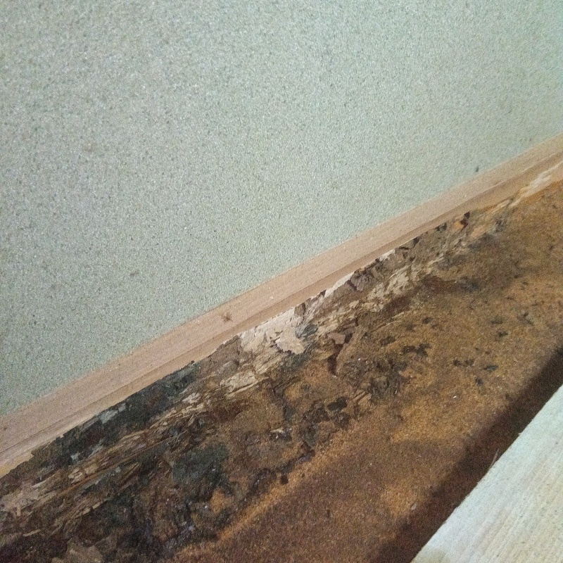 シロアリ駆除の施工事例（三重県鈴鹿市中瀬古町）