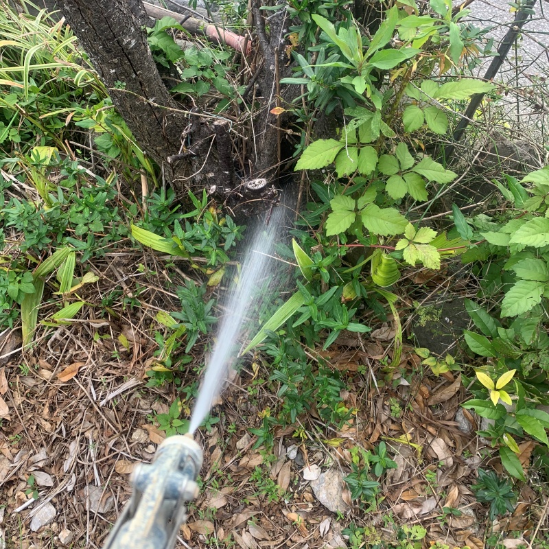 屋外の地面にシロアリ駆除剤を散布