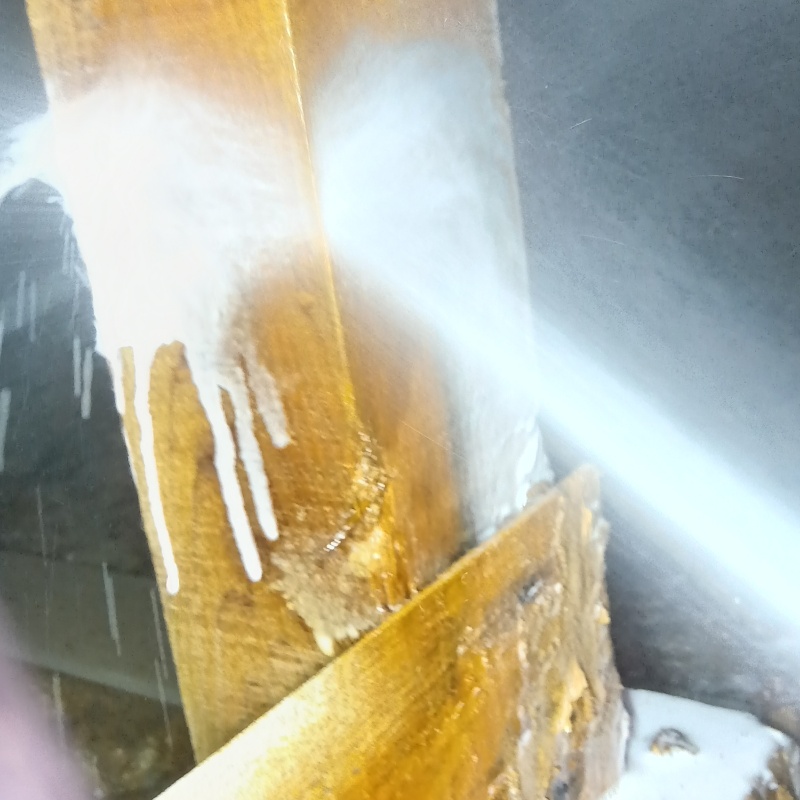 床下の木材にシロアリ駆除剤を散布