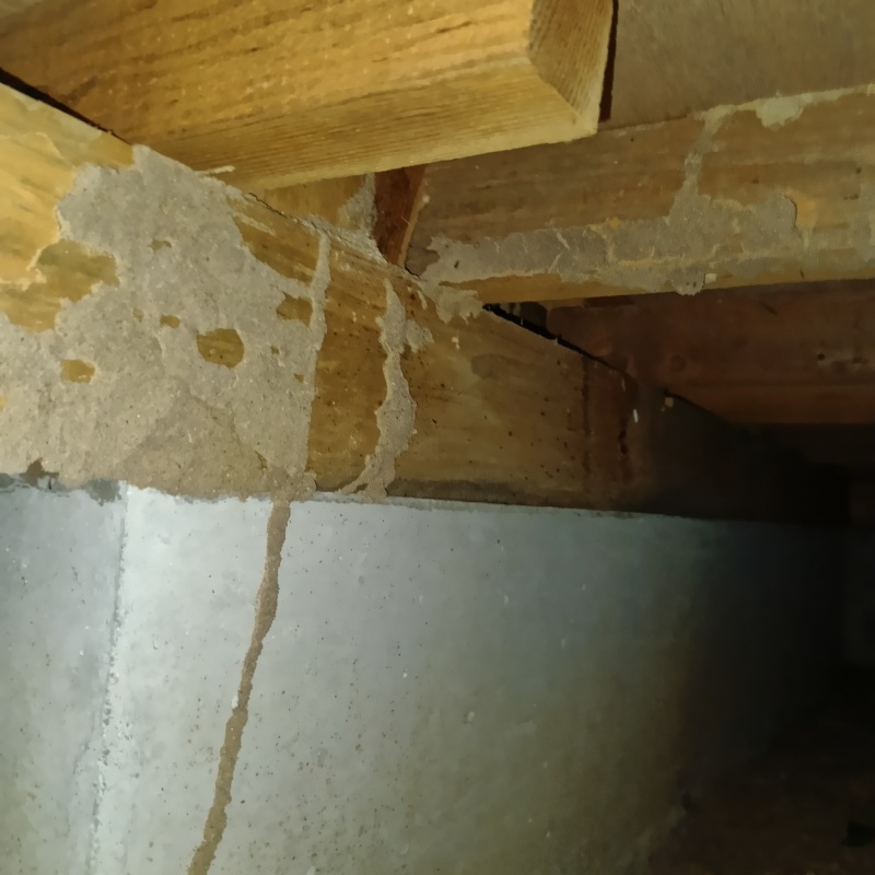築年数17年のシロアリ駆除の施工事例（愛媛県今治市阿方）