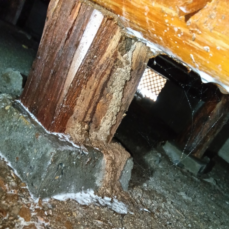 築年数50年のシロアリ駆除の施工事例（愛知県豊田市加納町屋下）