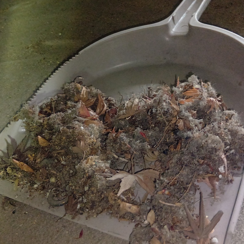 ゴミを回収した様子