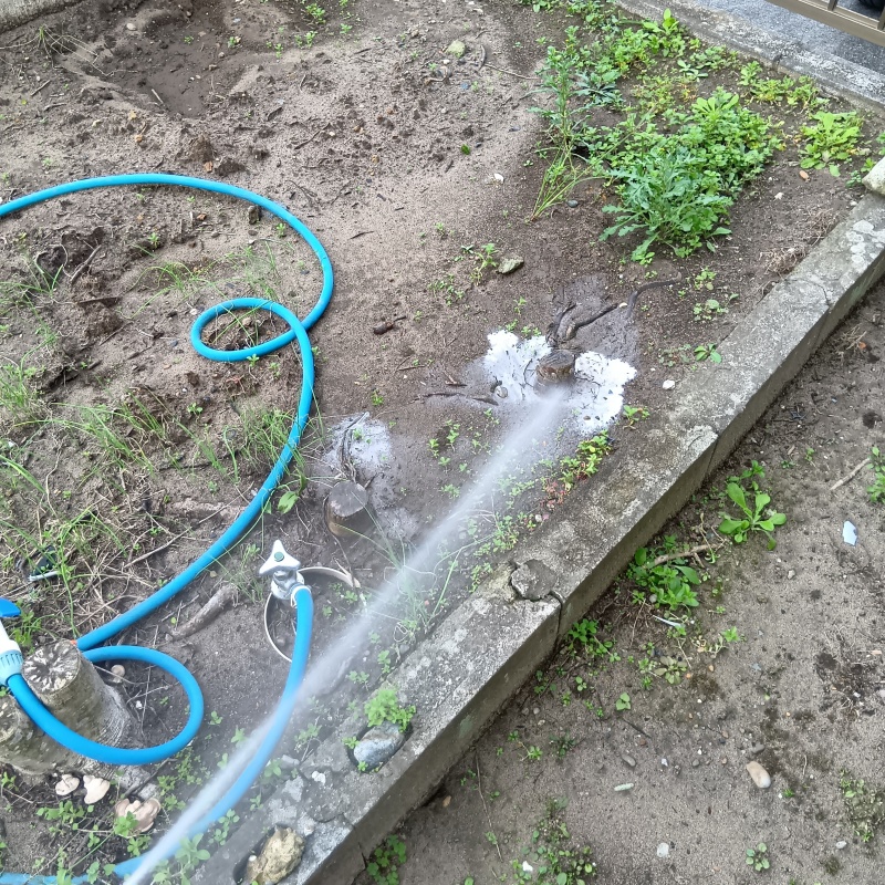 屋外の地面に防蟻剤を散布