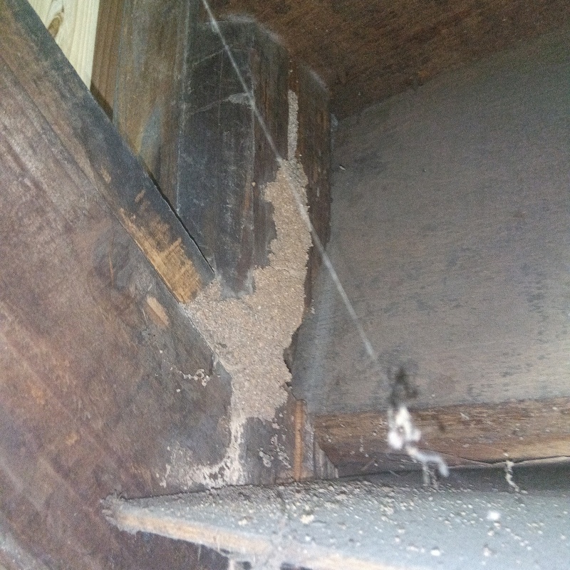 築年数90年のシロアリ駆除の施工事例（福岡県福岡市中央区）