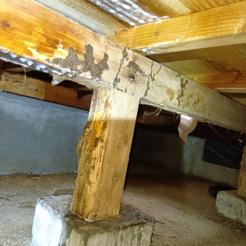 築年数36年のシロアリ駆除の施工事例（千葉県香取市一ノ分目）
