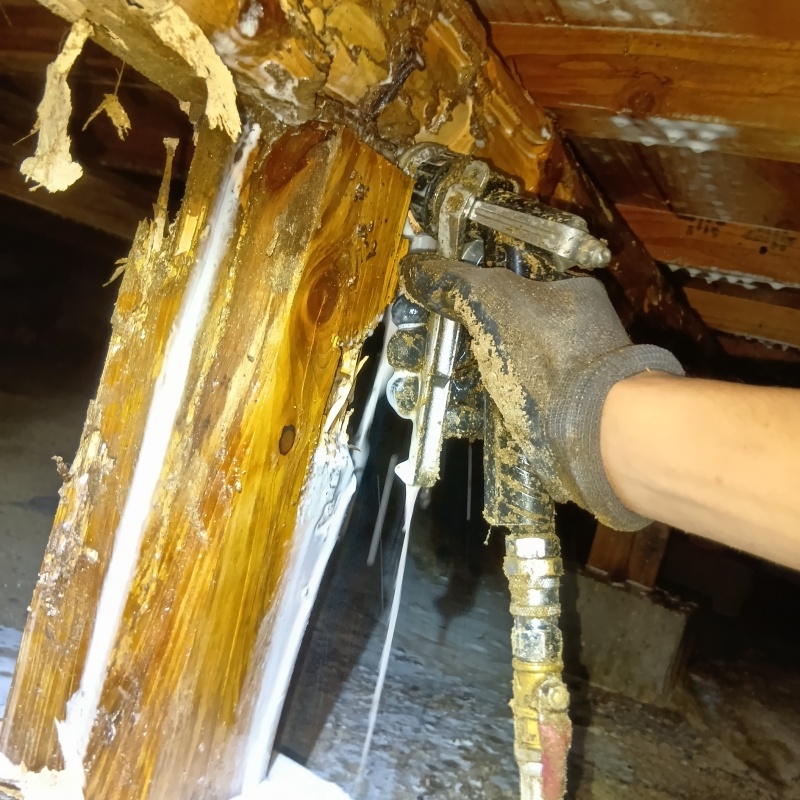 食害を受けた木材にシロアリ駆除剤を散布