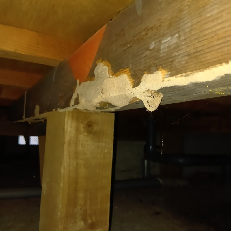 シロアリ駆除の施工事例（徳島県板野郡北島町江尻柳池）