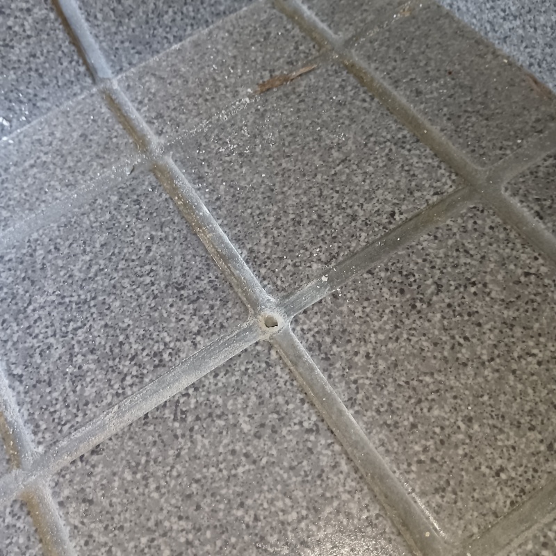 シロアリ駆除剤を注入するための穴を開けた様子