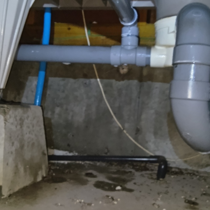 築年数22年のシロアリ駆除の施工事例（鹿児島県鹿屋市田淵町）