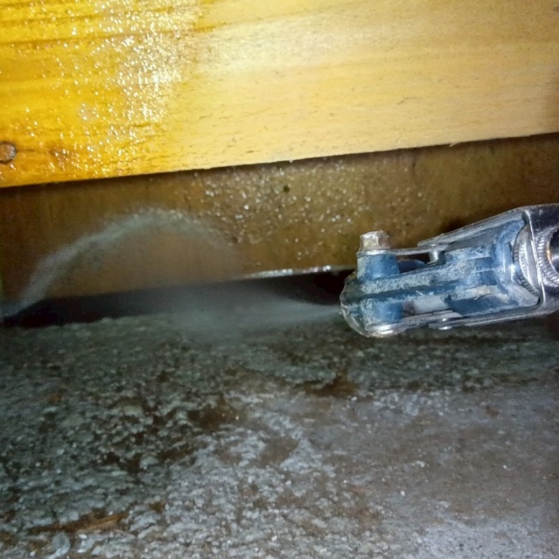 地面にシロアリ駆除剤を散布