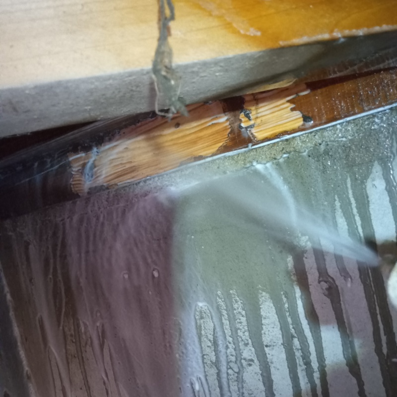 築年数36年のシロアリ駆除の施工事例（滋賀県大津市南郷）