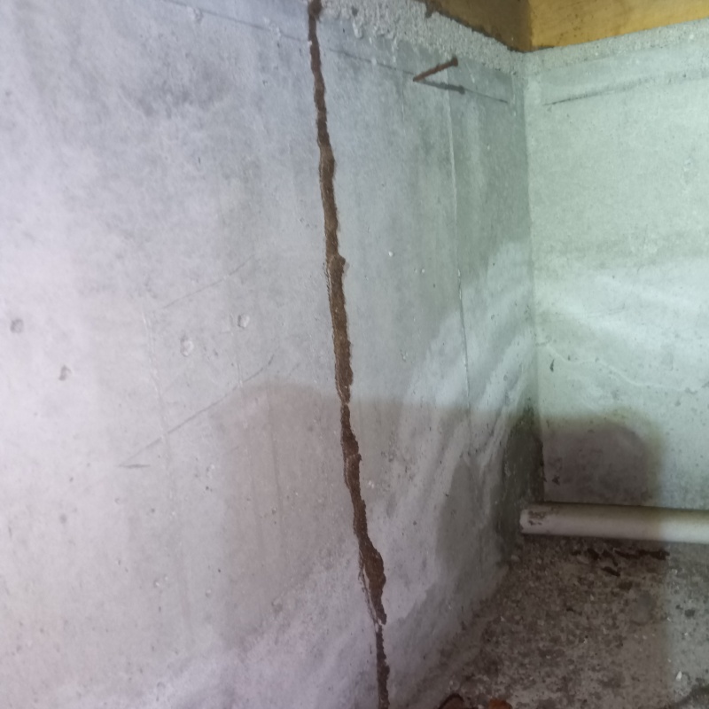 床下の基礎部分に作られた蟻道