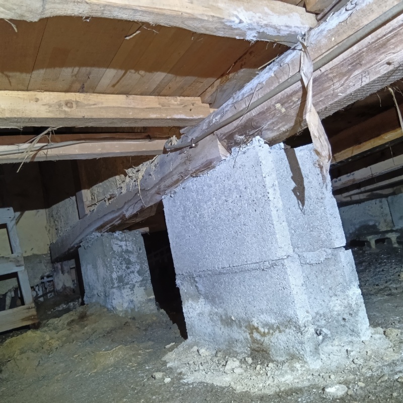 築年数60年のシロアリ駆除の施工事例（兵庫県神戸市垂水区）