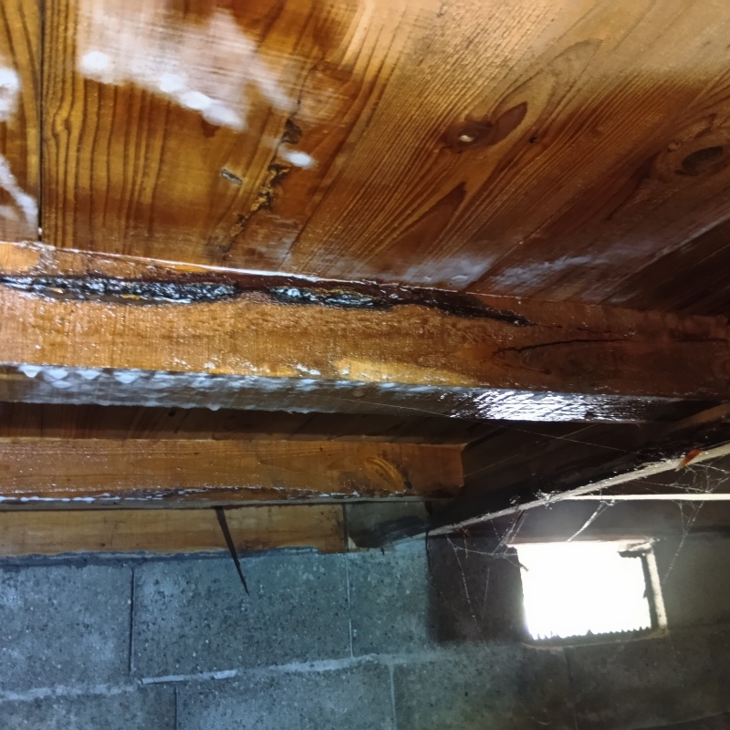 床下木材にシロアリ駆除剤を散布した様子