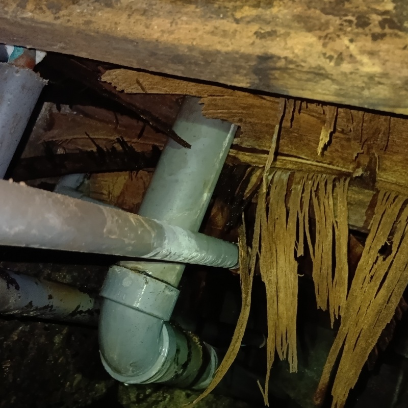 シロアリ駆除の施工事例（大阪府大阪市北区）